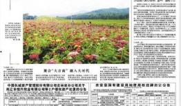 吉林日报爆料新闻电话,揭秘新闻热线背后的故事